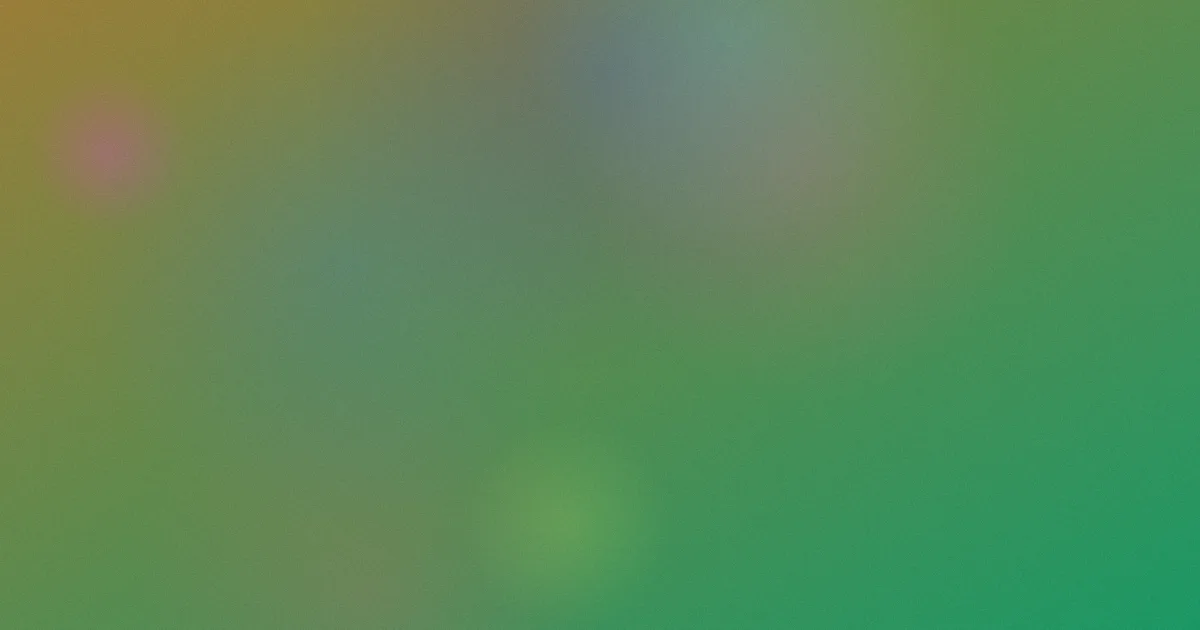 书包是什么？从用途到结构一次讲清